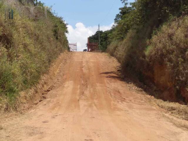  para  em  - 5